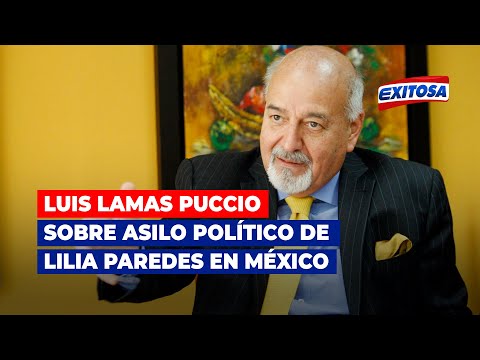 Luis Lamas Puccio: La decisión del Gobierno mexicano es una decisión política