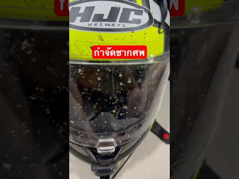 กำจัดซากศพกันหน่อยทำความสะอา