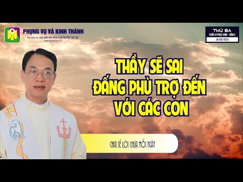 Chia sẻ Lời Chúa mỗi ngày: Thứ Ba ngày 24.05.2022 - Lm. Vinh Sơn Nguyễn Thế Thủ