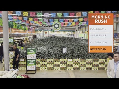 Market breaks world record for largest avocado display