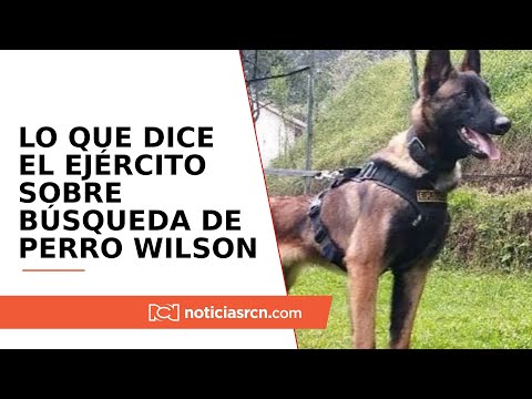 Wilson aún no aparece y Ejército dice que cada vez es más improbable encontrarlo