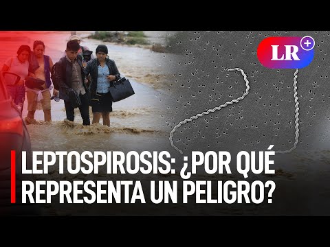 Ciclón Yaku: Perú en riesgo de epidemia de leptospirosis tras inundaciones