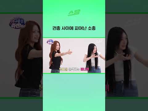 권총 사이에 피어난 소총