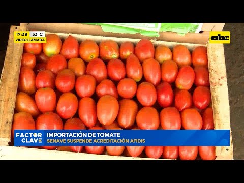Importación de tomate: Senave suspende acreditación afidis