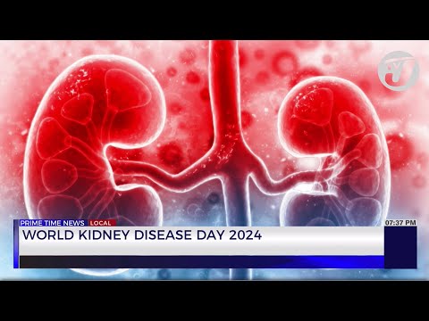 World Kidney Disease Day 2024 | TVJ News