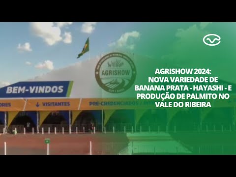 Agrishow 2024: Nova variedade de banana prata - Hayashi - e produção de palmito no Vale do Ribeira