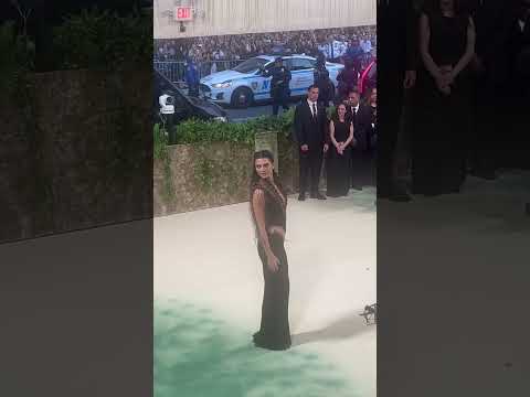 Kendall Jenner has arrived at the Met Gala!