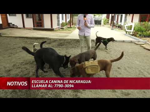 Primera escuela canina de Nicaragua