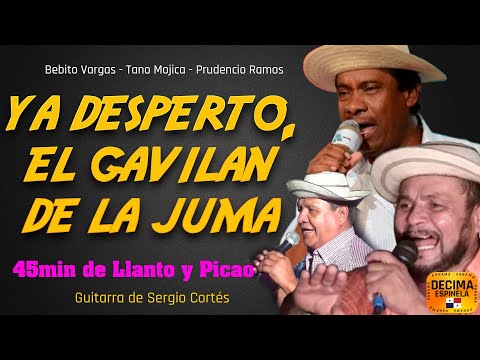 Prudencio Ramos vs Tano Mojica vs Bebito Vargas N° 929 ( YA DESPERTO, EL GAVILAN DE LA JUMA)