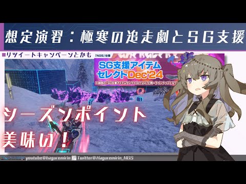 【PSO2NGS】期間限定クエスト「想定演習：極寒の追走劇」とSG支援スクラッチについて【VOICEVOX】