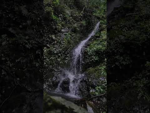 さんぽ　一息