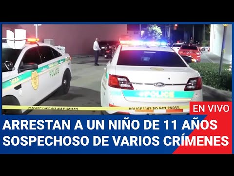 Edicion Digital: Arrestan a un niño de 11 años sospechoso de cometer varios crímenes