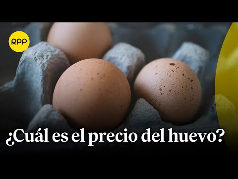 Callao: Precio del huevo se mantiene barato