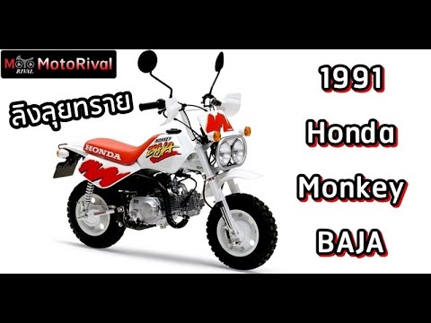 MotoRival เปิดประวัติHondaMonkeyBAJAลิงน้อยตะลุยทะเลทราย