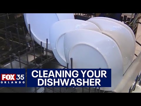 How to clean your dishwasher