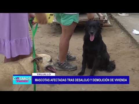 Trujillo: Mascotas afectadas tras desalojo y demolición de vivienda