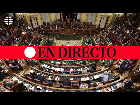 DIRECTO | Sesión Plenaria del Congreso