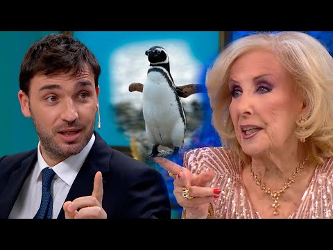 Mirtha se enteró que un pingüino en Chubut lleva su nombre y exigió que le pongan una corona