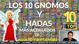 ????????????????????? HADAS Y GNOMOS MAS ACERTADOS DE AGOSTO Y SEPTIEMBRE /TONY PLATA / LOTERIAS octubre