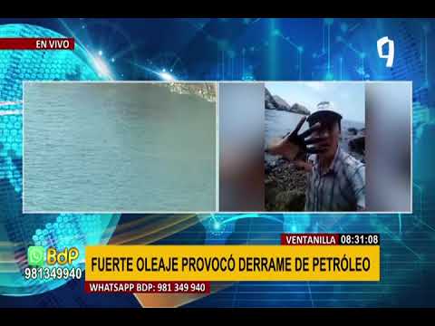 Petróleo en mar de Ventanilla: aves fueron afectadas tras derrame de crudo (1/2)