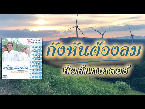 กังหันต้องลม-พิงค์แพนเตอร์[