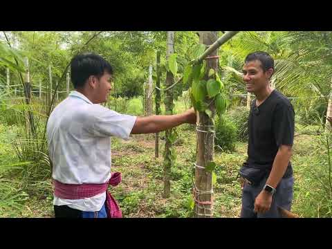 Nine Saharath สวนลุงชาเที่ยวบ้านเพื่อนEp.1 Nine Saharath สวนลุงชาเที่ยวบ้านเพื่อนEp.1