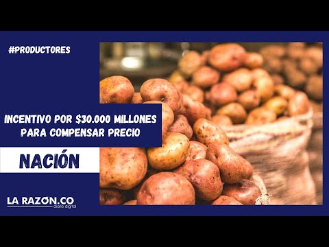 Incentivo por $30.000 millones para compensar precio a 25.000 productores de papa