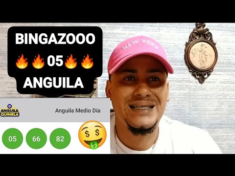 BINGAZOOO YUPI ((05)) INDICADO EN ANGUILA PREMIO MAYOR COM ALEX NÚMEROS