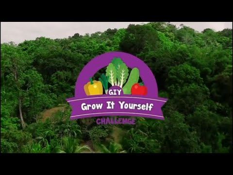 Feel Good Moment - Grow It Yourself Challenge