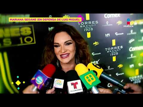 Mariana Seoane sale en DEFENSA de Luis Miguel en su batalla legal contra Aracely Arámbula | DPM