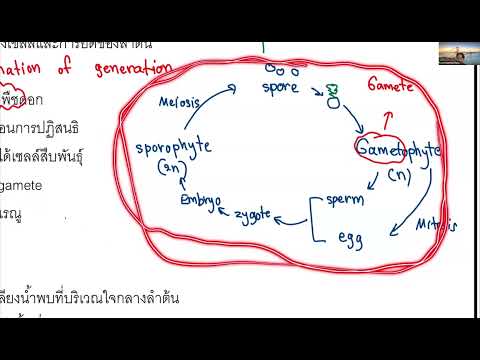 ติวฟรีโจทย์สอวนEP6