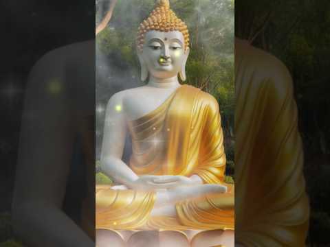 สุขเกิดจากรู้จักพอคำคมBuddha