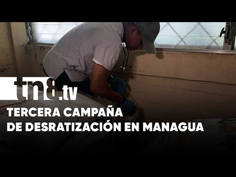 Arranca la tercera campaña nacional de desratización desde Managua