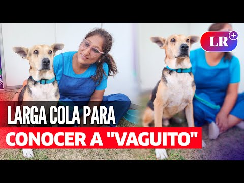 Larga cola para conocer a VAGUITO, el perrito que inspiró la PELÍCULA | #LR