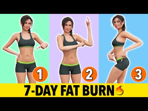 7-Day No Repeat Fat Burn: Low Impact Full Body Transformation