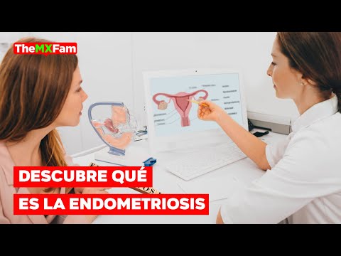 ¿Qué es la Endometriosis?: Más Allá del Dolor Menstrual | TheMXFam