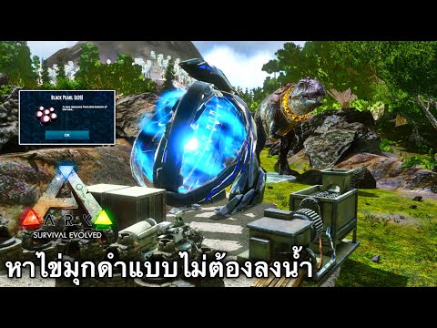 ArkMobileBrutalเดินทางเข้าส