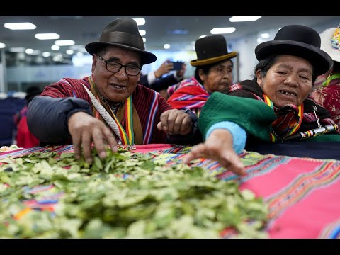 Bolivia launches new international battle to get coca off blacklist