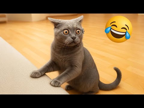 Hilarious CATS 🐱 and DOGS 🐶 Funny Animal Videos 2025 🤣 You Can't Stop Laughing! #10