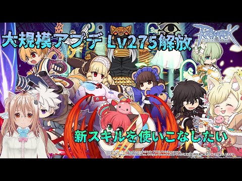 大規模アプデ！何から手を付けようか【RO-ラグナロクオンライン】あるさんぽ【1152歩目】