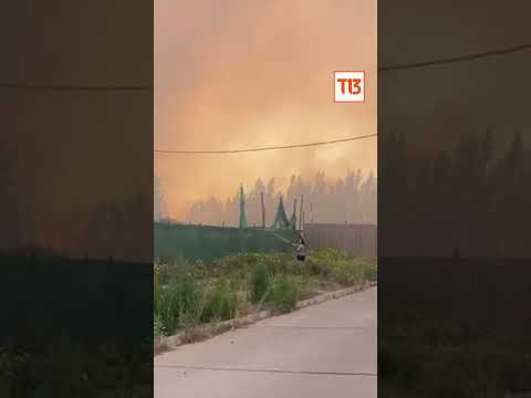 Alerta SAE: Senapred ordena evacuar sector Limachito de Limache por incendio forestal