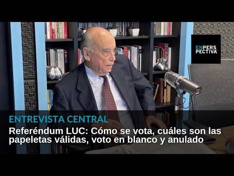 Referéndum LUC: Todos los detalles de cómo votar en entrevista con el pte. de la Corte Electoral