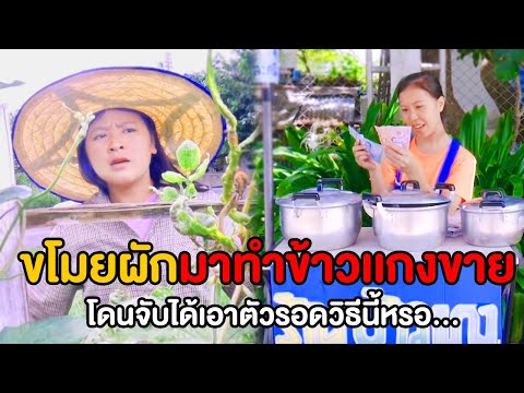 ขโมยผักมาทำข้าวเเกงขาย-โดนจับไ ขโมยผักมาทำข้าวเเกงขาย-โดนจับไ