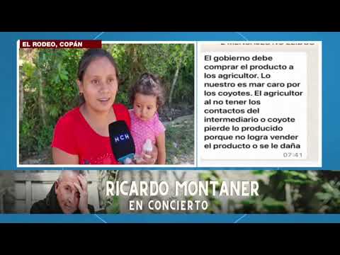 Autoridades municipales realizan jornada de fumigación en El Rodeo, Copán