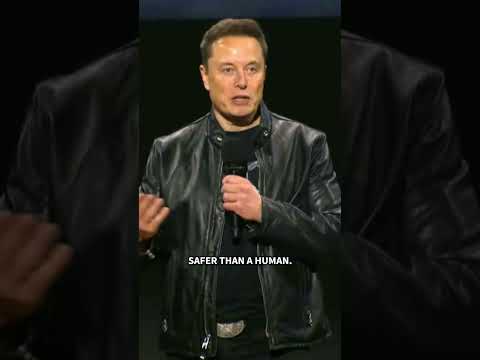 Elon Musk unveils Tesla’s robotaxi