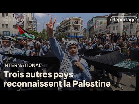 L'Irlande, l'Espagne et la Norvège reconnaissent la Palestine