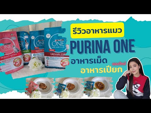 รีวิวอาหารแมวPURINAONE🐱อาหาร