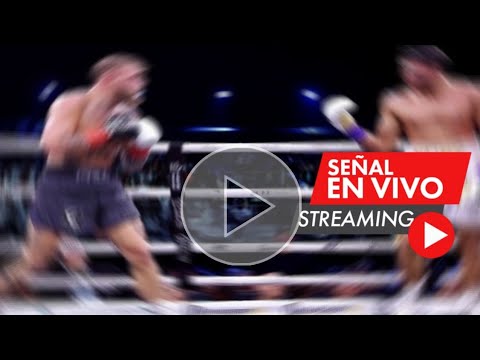 En vivo: Jake Paul vs. Nate Díaz, por el peso crucero de las 185 libras