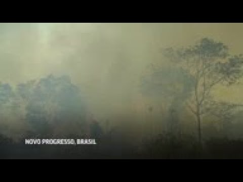 AP ve indicios de que el plan para proteger la Amazonía brasileña ha tenido el efecto opuesto