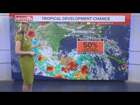 A look in the Tropics plus your local forecast